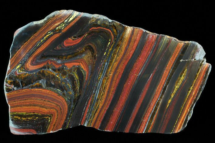 Polished Tiger Iron Stromatolite - ( Billion Years) #72916